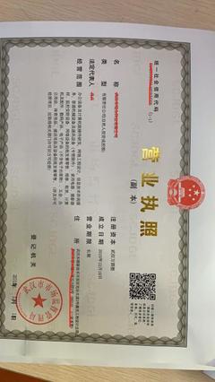 武漢可靠稅務(wù)代辦服務(wù)周到